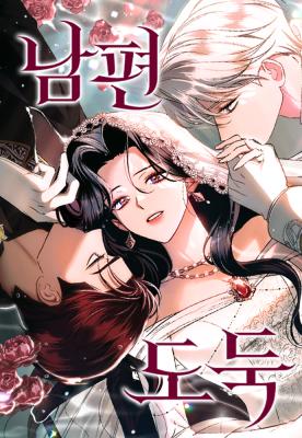 Cover art for Husband Thief