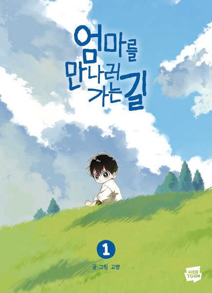 Cover art for On the Way to Meet Mom